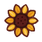 Herd Sunflower
