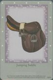 1st 50 jumping saddle.jpg