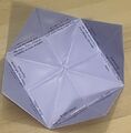 Folded Fortune 3