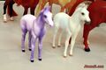 Unreleased Harmony and Unknown Foal