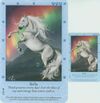 Northern Lights Jumbo Card