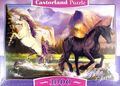 Castorland Puzzle