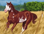 Regular Horse