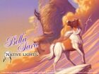 Desktop Wallpaper - Native Lights - Lakota